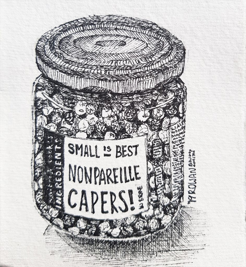 Nib & Ink Mark Making Still Life