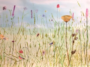 The Wildflower Meadow by Rachel Burch