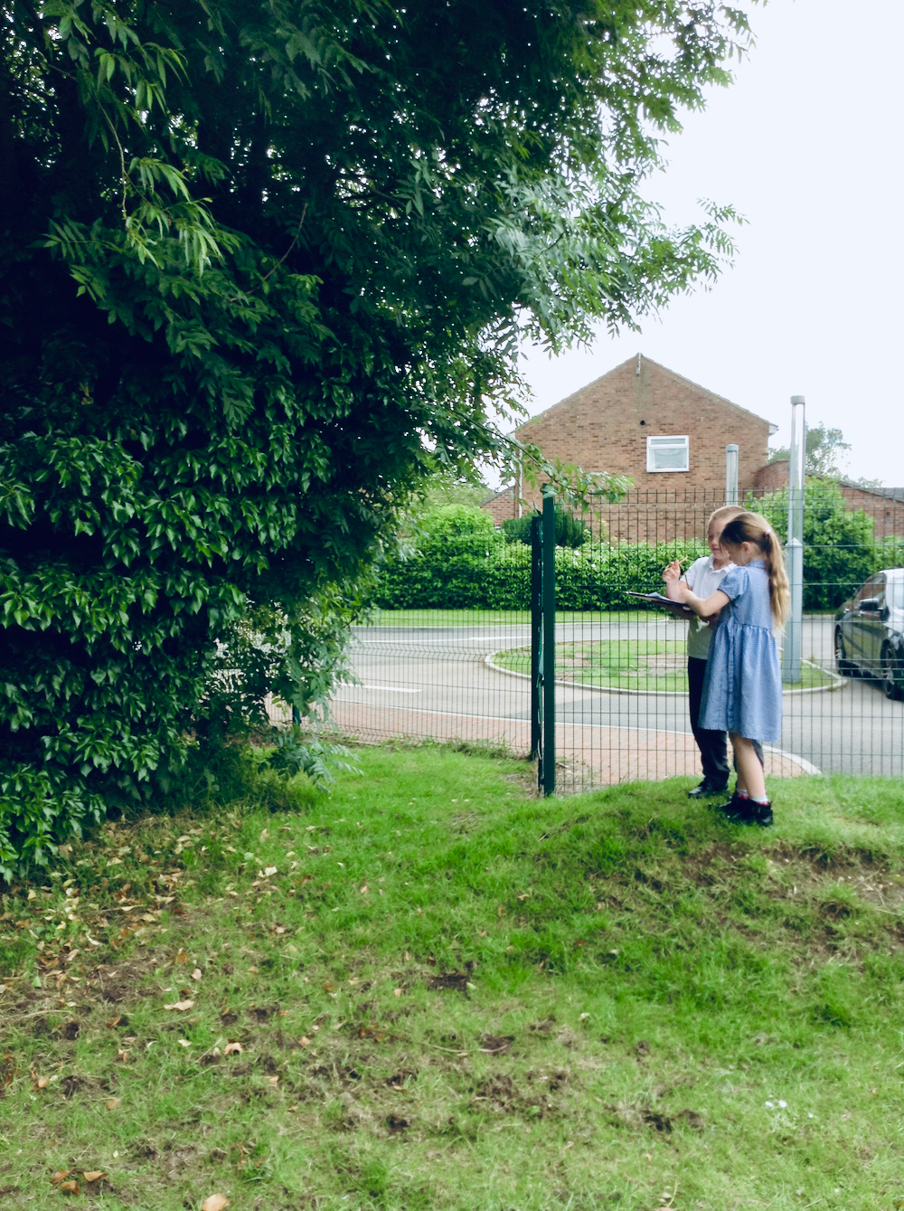 Children looking at trees and filling in a fact sheet