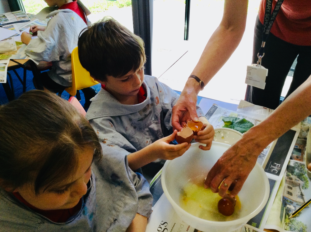 Year One and Two pupils crack open an egg into a large bowl in a classroom at Hauxton Primary with class teacher Pamela Stewart for Inspire