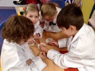 Children inspect seeds which have grown in Petri dishes under different coloured film to see which have grown the best - Professor John Love - Science week at Hauxton Primary with teacher Pamela Stewart 