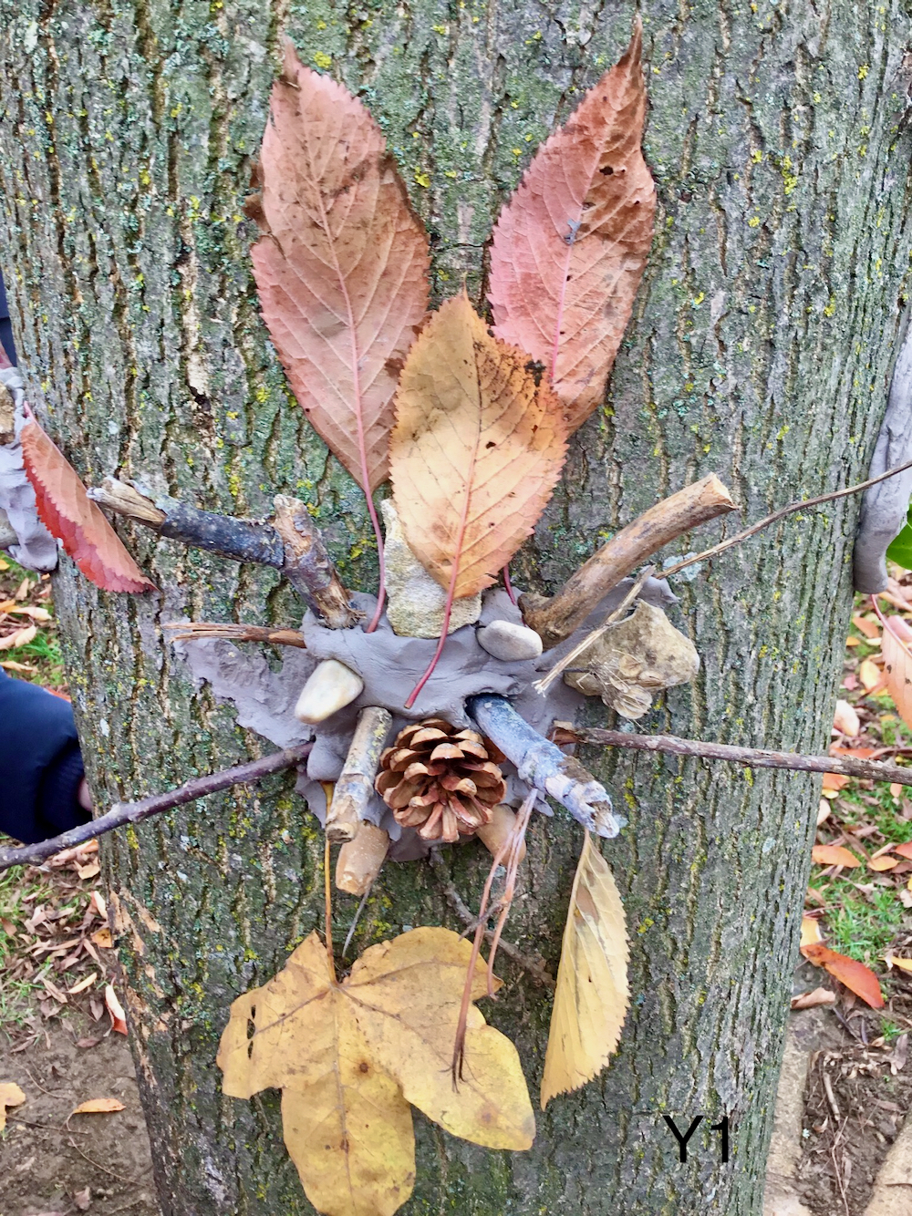 Nature art made with clay, leaves and sticks stuck to a tree with clay by a year One pupil being taught by teacher Sue Brown