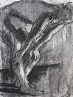 Additive and subtractive charcoal drawing