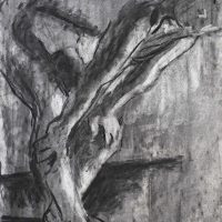 Additive and subtractive charcoal drawing