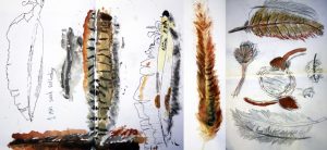 AccessArt is running an international Drawing Challenge with the aim of helping support individuals to develop drawing skills through a series of inspirational exercises and drawing projects, suitable for use at home.