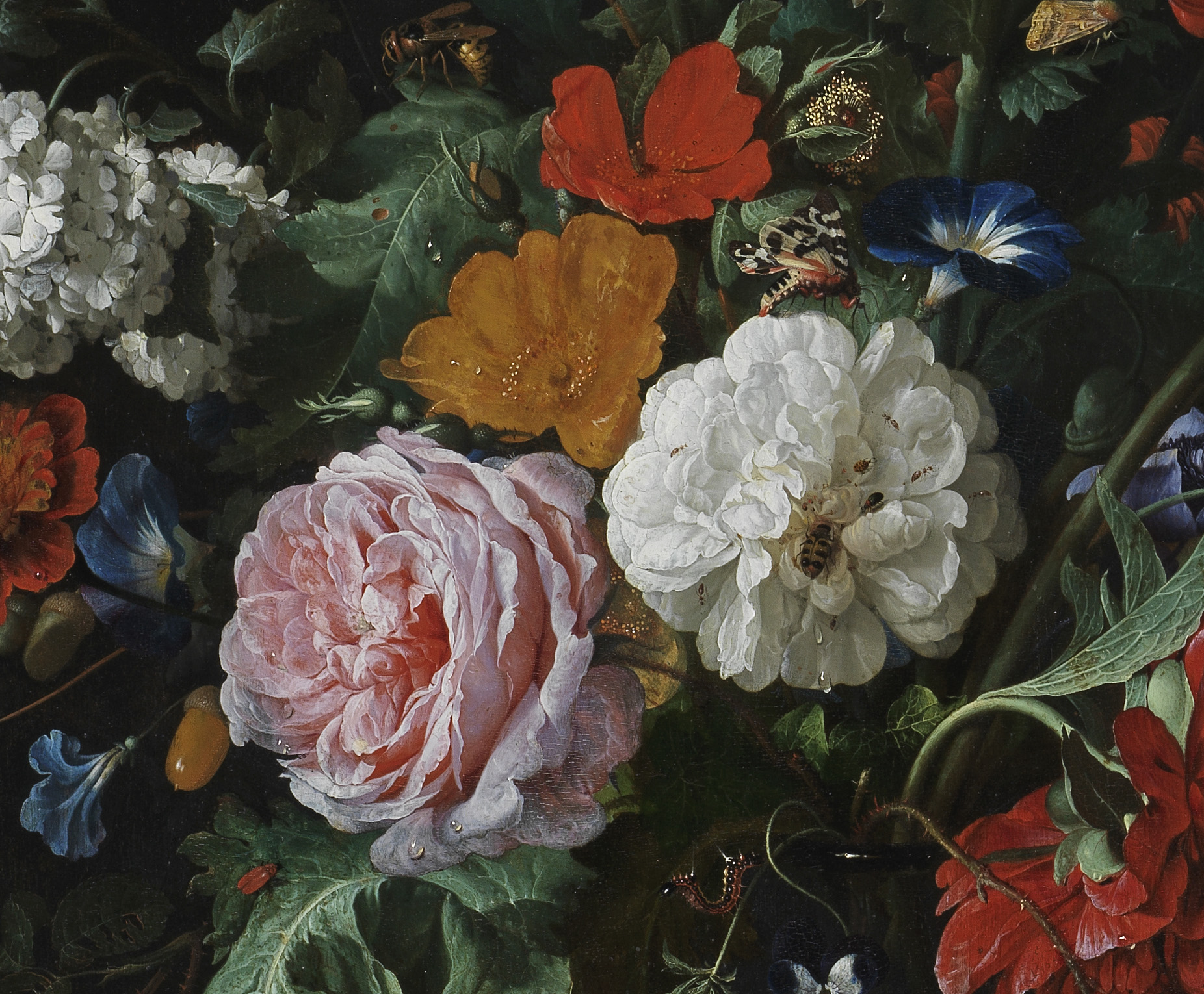 Detail from Flowers in a Glass Vase, by Jan Davidsz. de Heem (c) The Fitzwilliam Museum