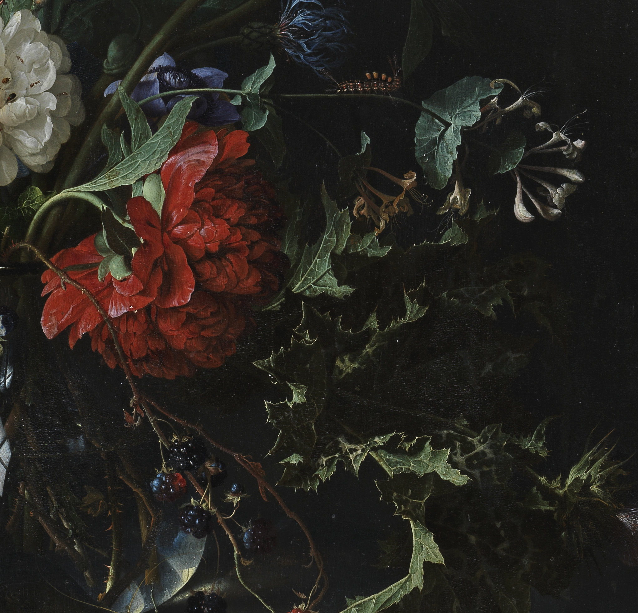 Detail from Flowers in a Glass Vase, by Jan Davidsz. de Heem (c) The Fitzwilliam Museum