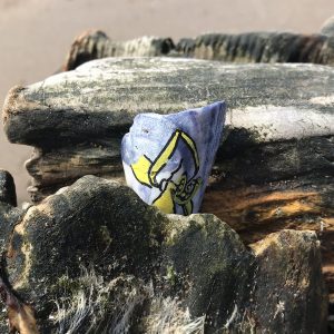 Fragment of mussel shell wedged into a groyne