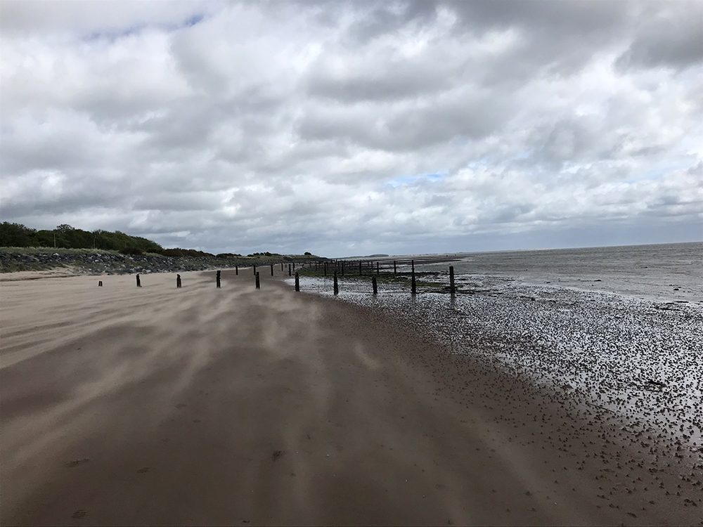 Groynes on Broughty Beach by Catherine Laing