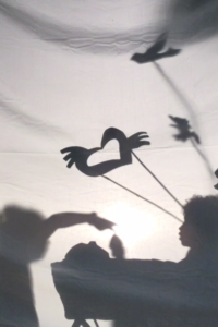 Flying bird shadow puppets