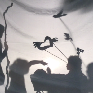 Flying bird shadow puppets