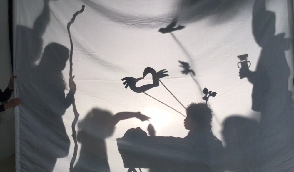 Flying bird shadow puppets