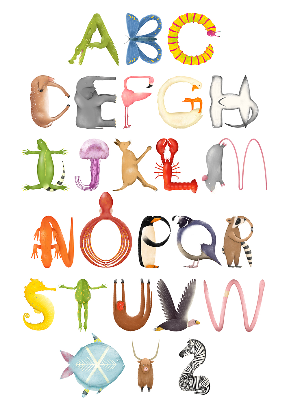 DrawAble: Making Illustrated Letters by Isobel Grant