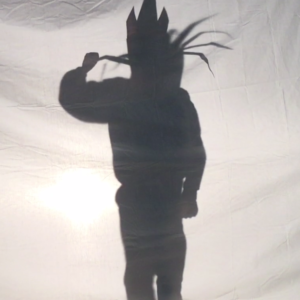 Shadow Puppet of King