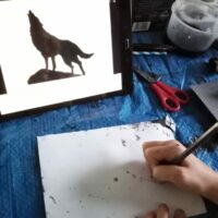 Drawing a wolf