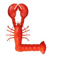 L is for Lobster by Isobel Grant