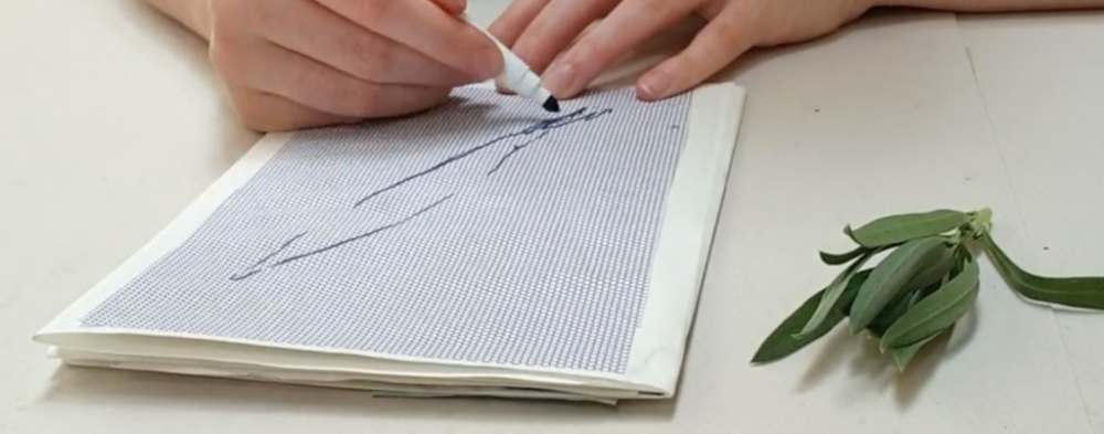 Making an Artist's Book by Paula Briggs