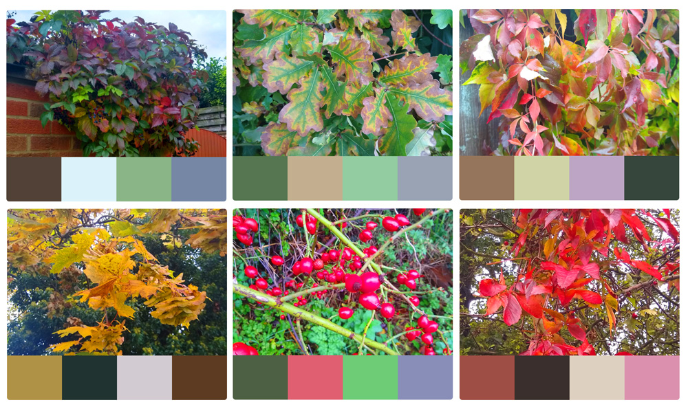 Photos of autumn trees by Irina Richards