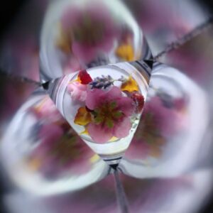 Observing the colours through the prism