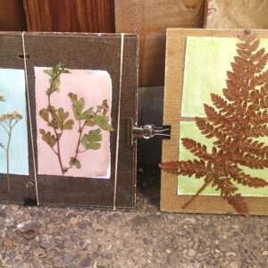 Anthotype Prints Developing in the Sun by Genevieve Rudd