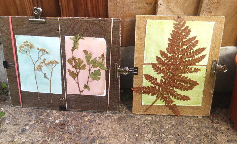 Anthotype Photography: Plant-Based Photography Without a Camera