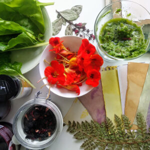 Ingredients and plant materials for making Anthotype prints by Genevieve Rudd