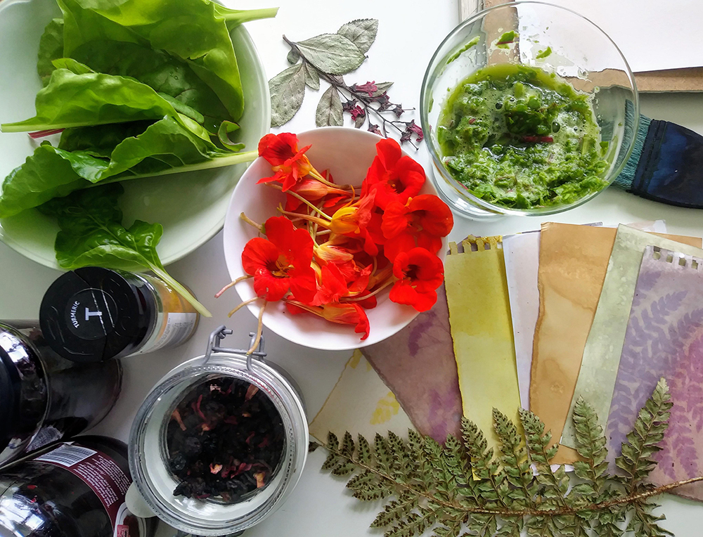 Ingredients and plant materials for making Anthotype prints by Genevieve Rudd