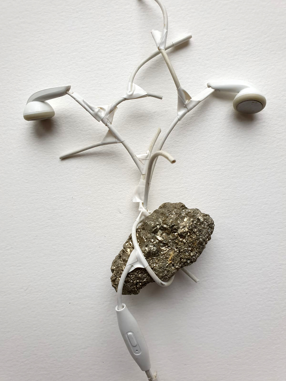 Roots and Shoots by Paula Briggs
