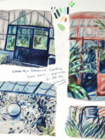 Sketchbook Page of Greenhouse Compositions by Rosie Hurley