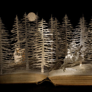 From Theatre Design to Advertising, be inspired by practitioners who make art out of books