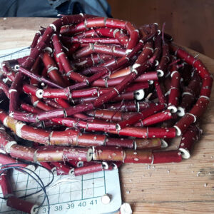 In this post Swedish Artist Mostyn de Beer reflects on his experience working with a particular natural material – dogwood.  
