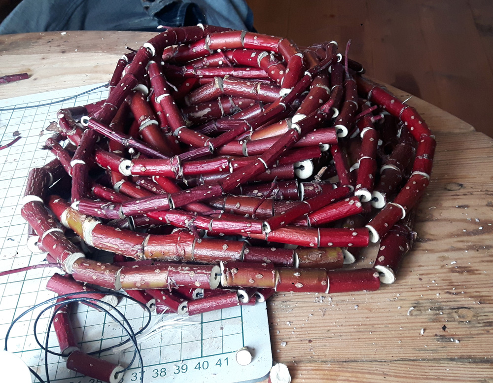 Dogwood-segments-in-a-long-chain-by-Mostyn-de-Beer