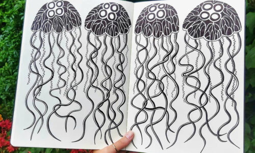 Jellies Sketchbook Drawings by Rachel Parker