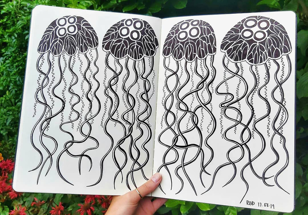 Jellies Sketchbook Drawings by Rachel Parker Jellies Sketchbook Drawings by Rachel Parker