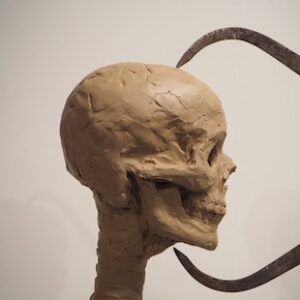Skull Sculpture by Melissa Pierce Murray