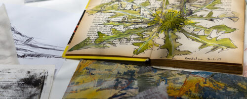 sketchbooks by Cas Holmes