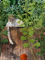 Lost Ball Illustration by Claire Harrup
