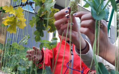 In this post Mostyn shares a recent project he facilitated with the aim of connecting children to gardening through art.