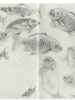 Fish Sketchbook By Scarlett Rebecca