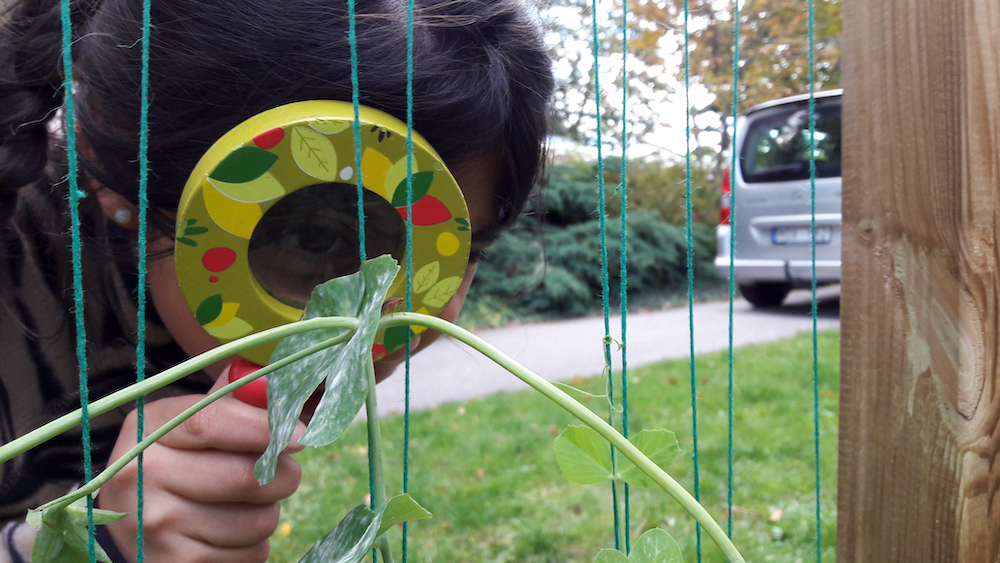 Using a Magnifying Glass Near The Weaving Frame by Mostyn De Beer