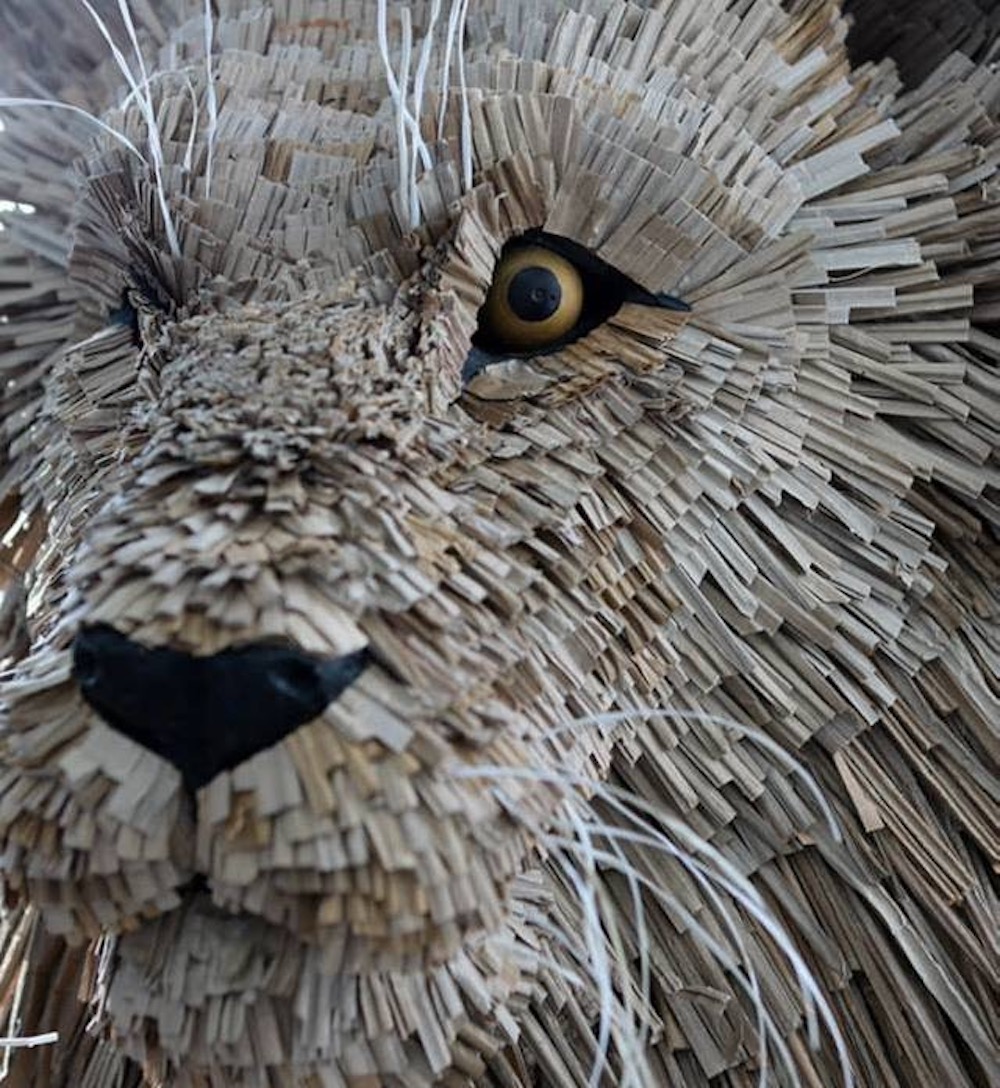 Close up of Wembley Lion (cardboard) by Faith Bebbington