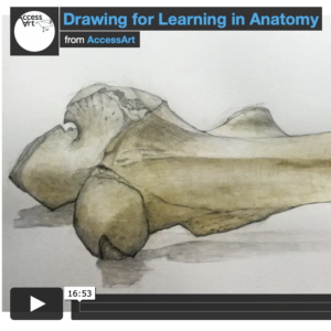 Dr Fay Penrose, PhD, PGCert, SFHEA, BA(Hons) Senior Lecturer in Veterinary Anatomy and Head of First Year in Veterinary Science, University of Liverpool, explores why visual and tactile literacy and manual dexterity skills are important in the STEM subjects in higher education.