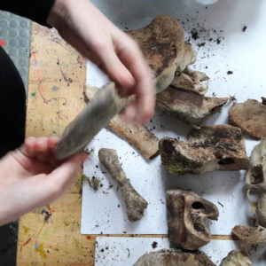 See how you can use materials in an environmentally friendly way during art lessons