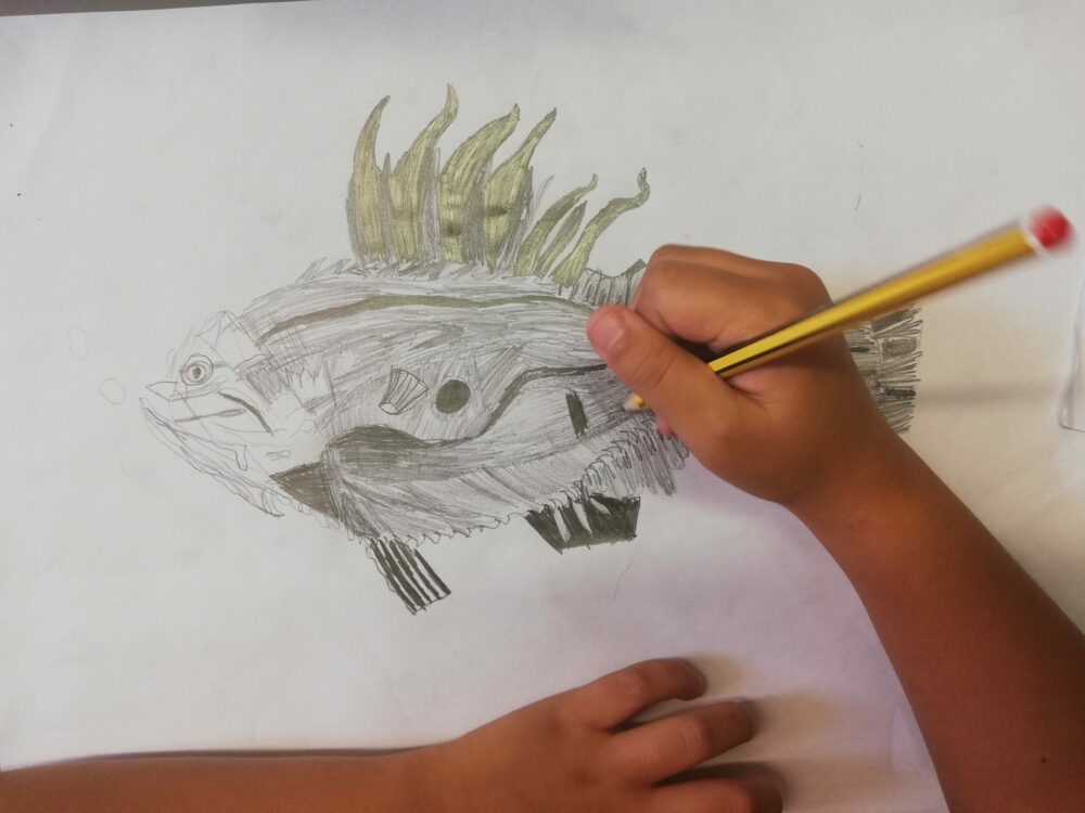 A pencil drawing of a fish