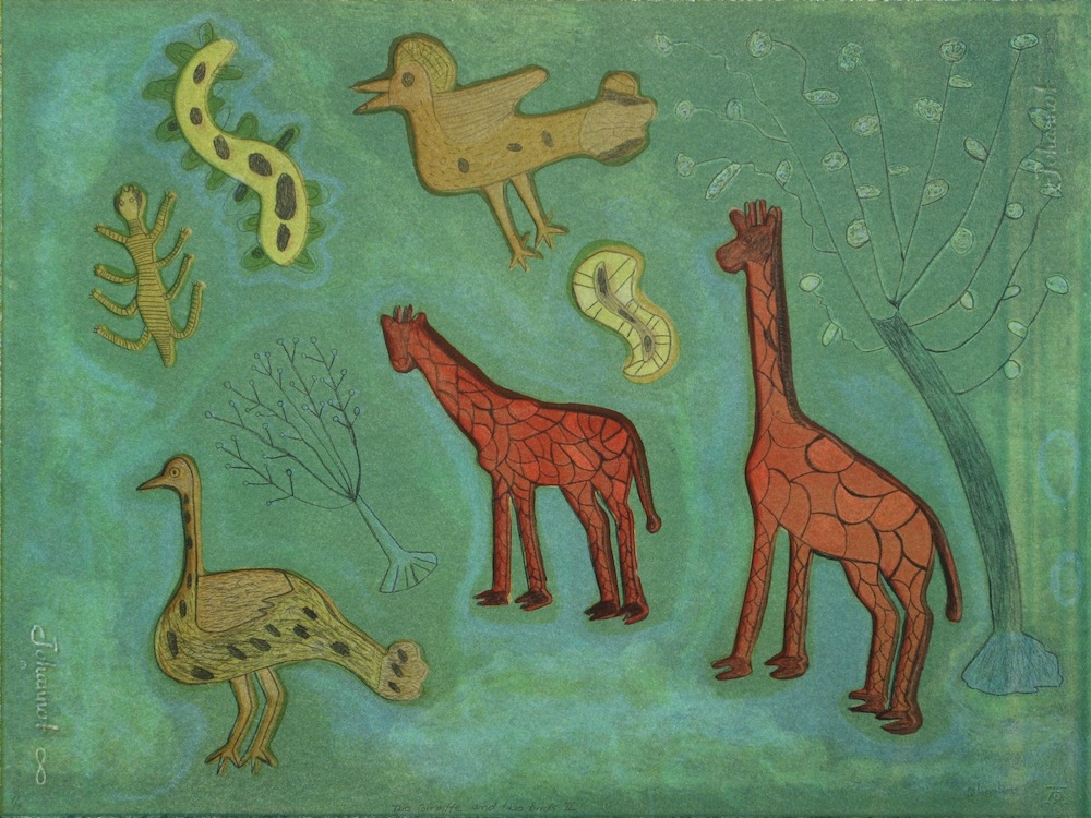 Two giraffe and two birds II 50x65sm by Qhaqhoo Xgaoc'o X'are