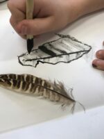 Drawing a feather