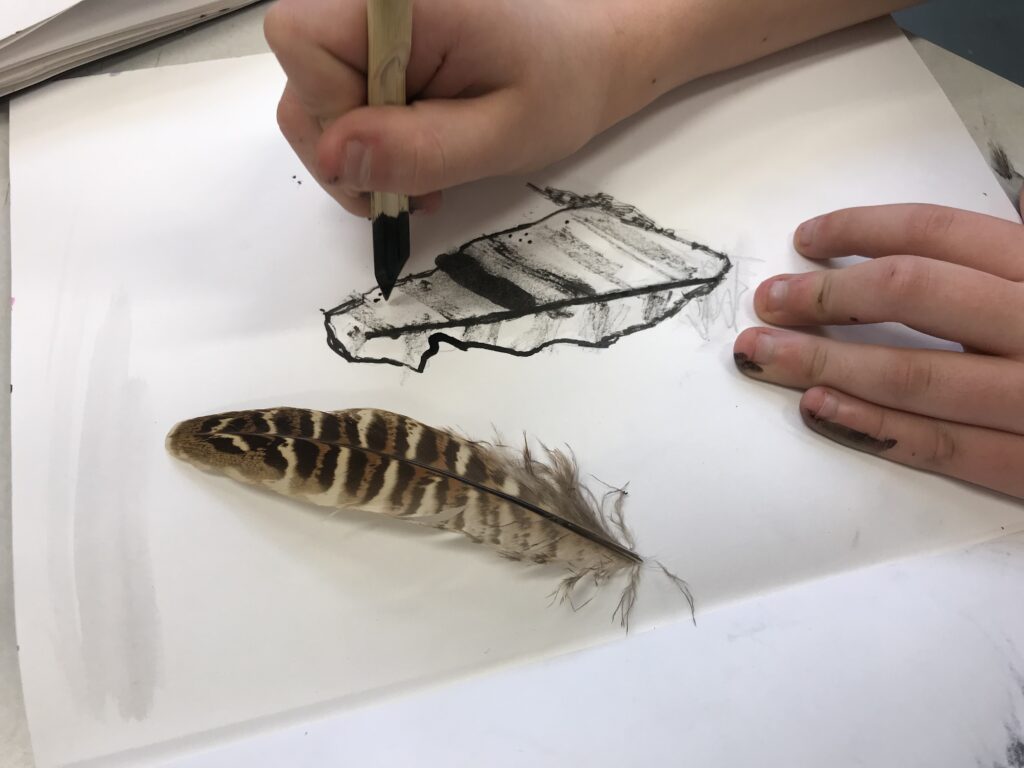 Observational drawing of a feather