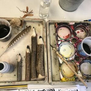 A tray of ink, drawing tolls and natural objects