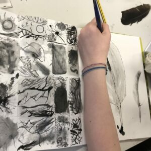 observational drawing of a feather