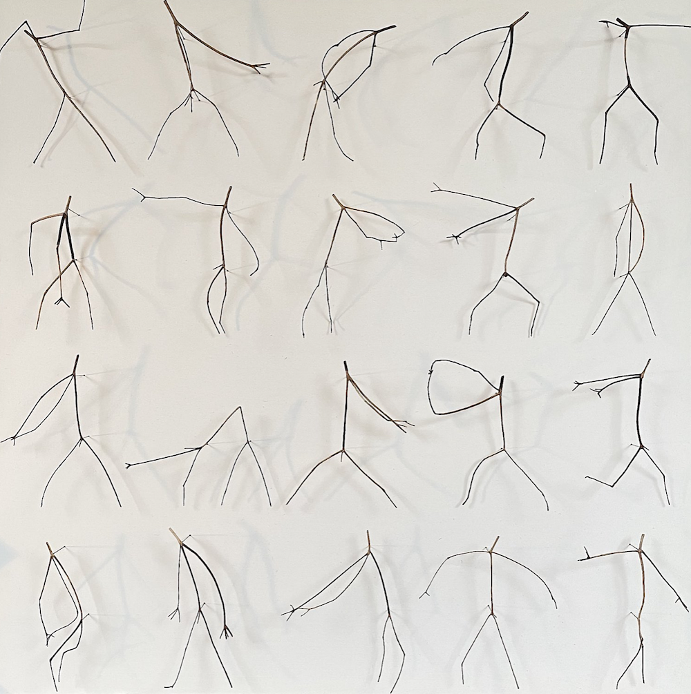 Twenty Twigs 2021 36 x 36 x 5inches Construction with cut twigs By Chris Kenny Twenty Twigs 2021 36 x 36 x 5inches Construction with cut twigs By Chris Kenny
